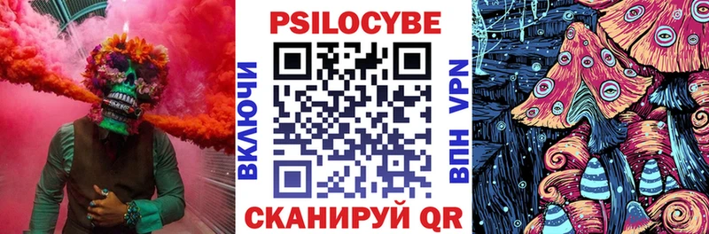площадка Telegram  Иланский  Псилоцибиновые грибы прущие грибы  mega как войти 